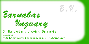 barnabas ungvary business card